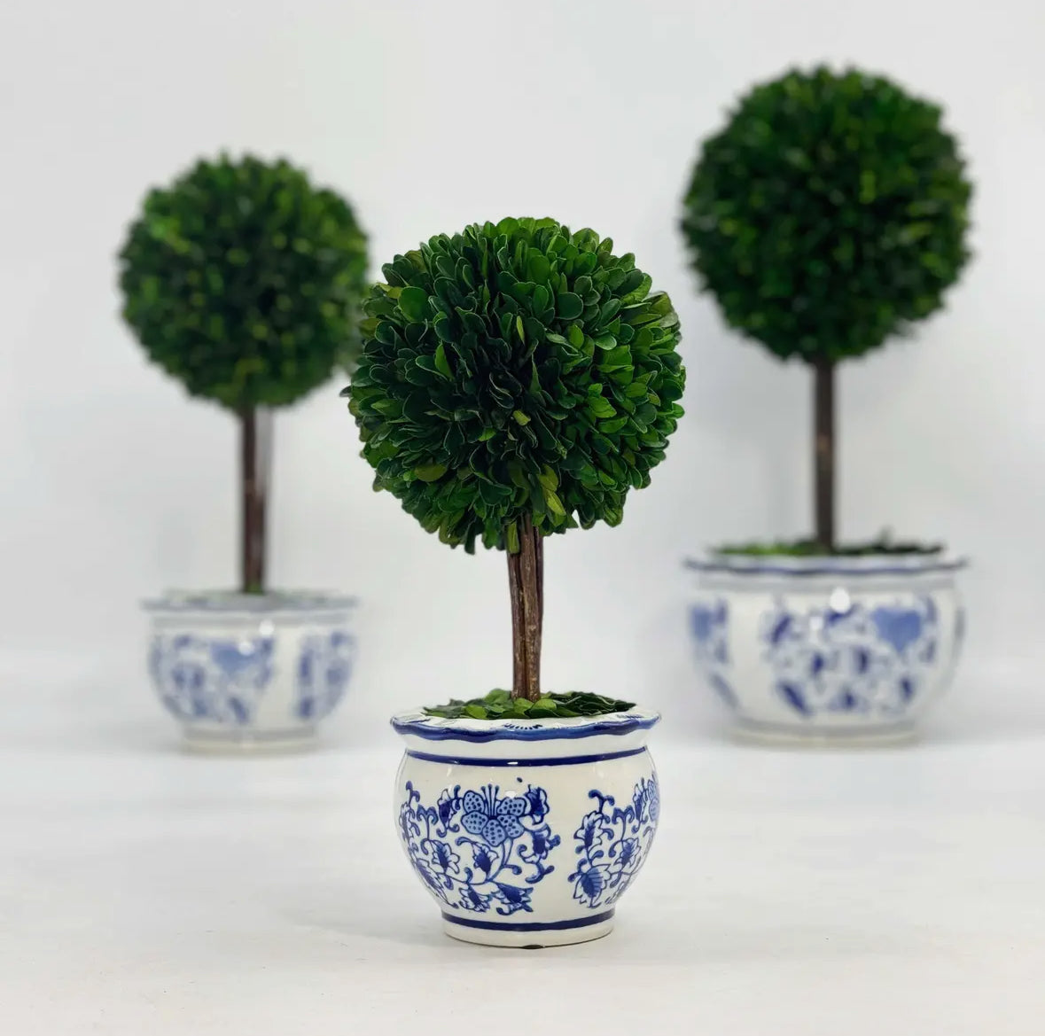 Blomster & planter