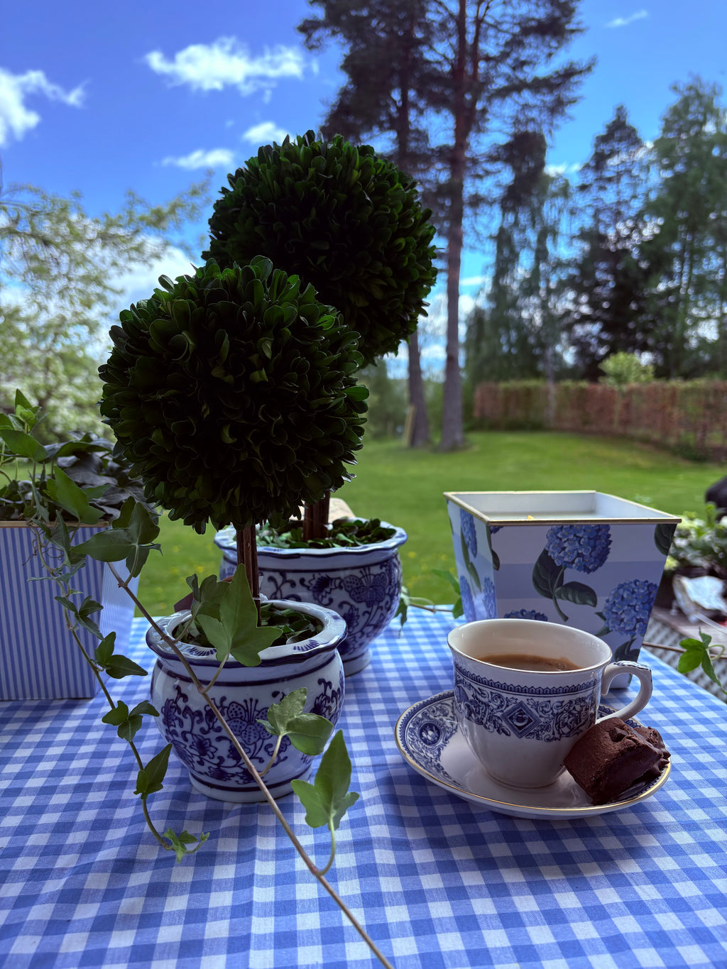 Blomsterpotte blå stor hortensia