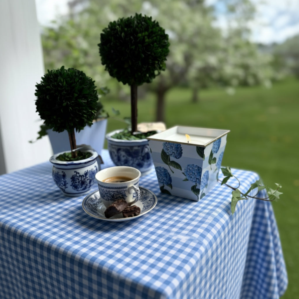 Duftlys hortensia i potte